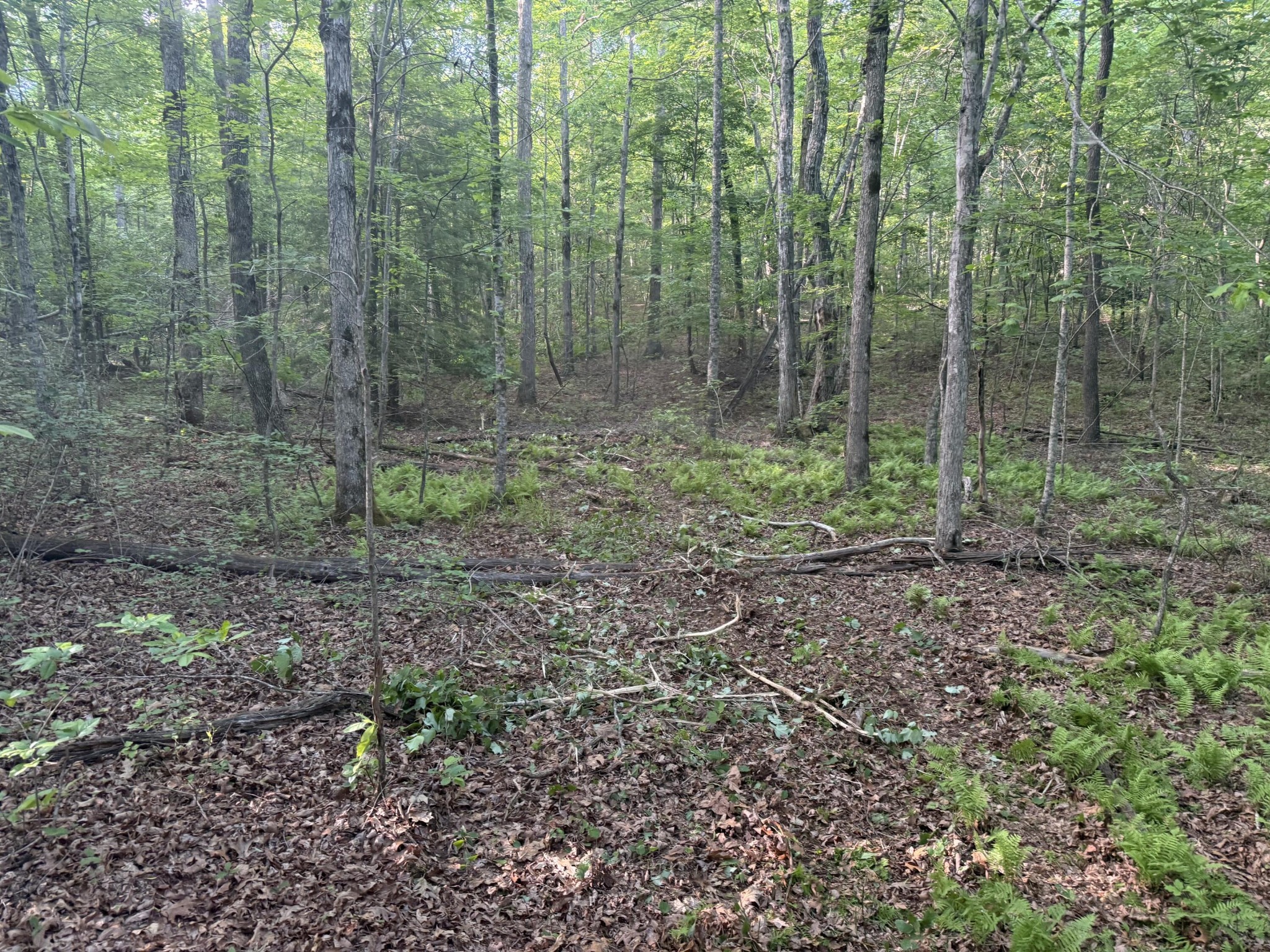 1672 Besstown Road Beersheba Springs TN 37305