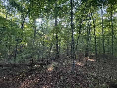 1672 Besstown Road Beersheba Springs TN 37305