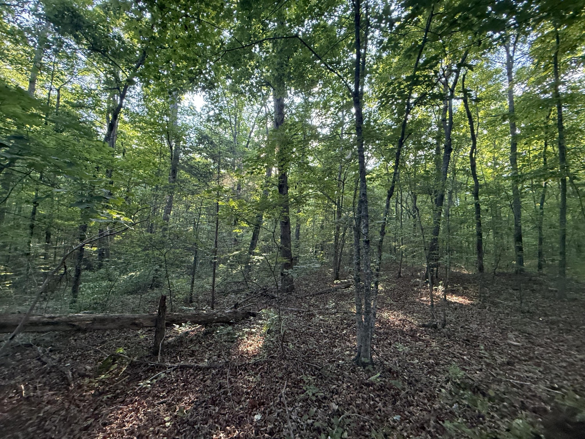 1672 Besstown Road Beersheba Springs TN 37305