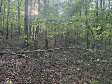 1672 Besstown Road Beersheba Springs TN 37305
