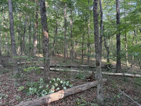 1672 Besstown Road Beersheba Springs TN 37305