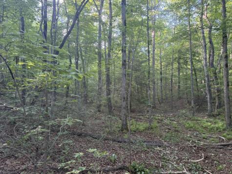 1672 Besstown Road Beersheba Springs TN 37305