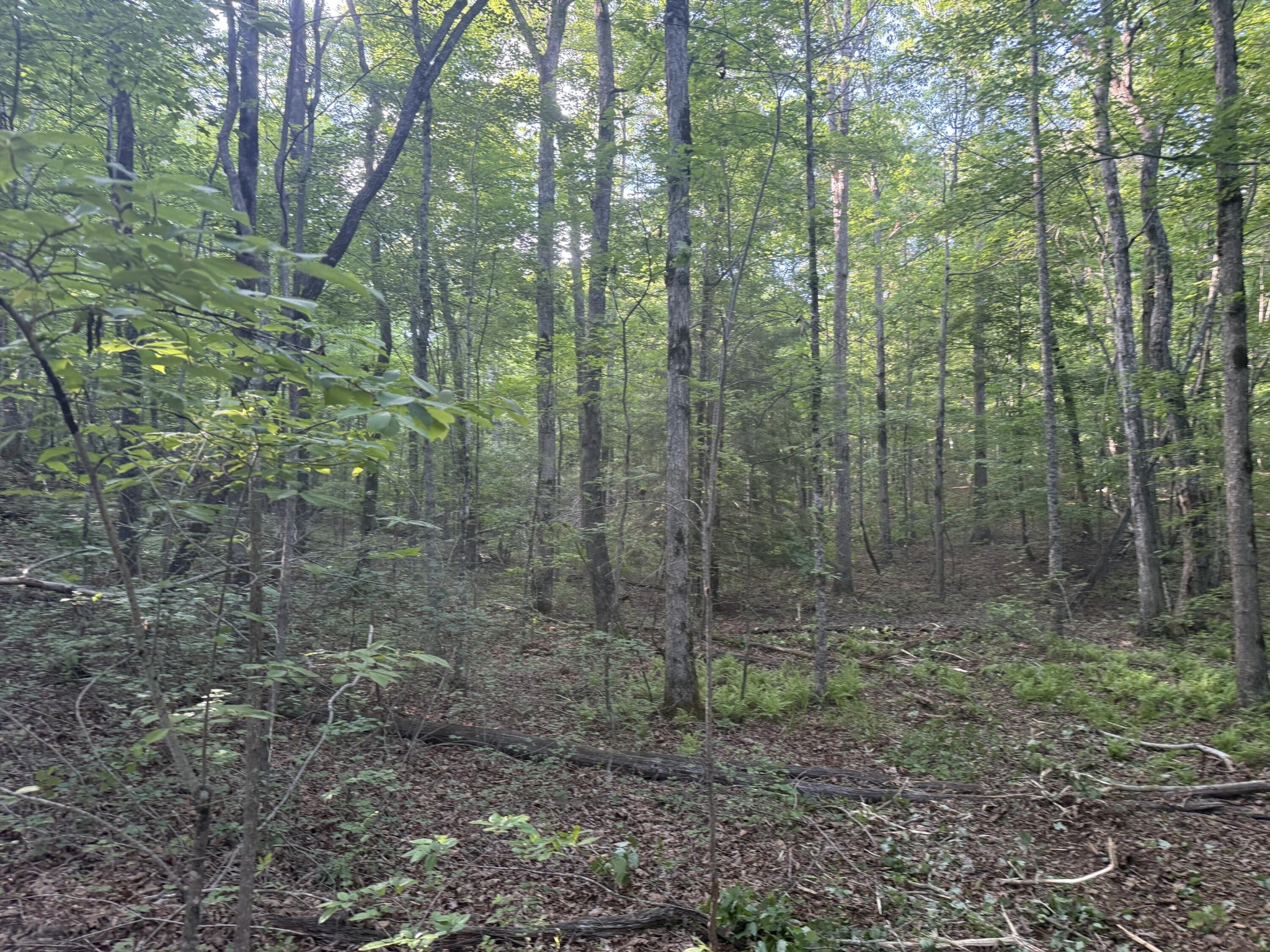 1672 Besstown Road Beersheba Springs TN 37305