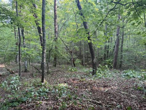 1672 Besstown Road Beersheba Springs TN 37305