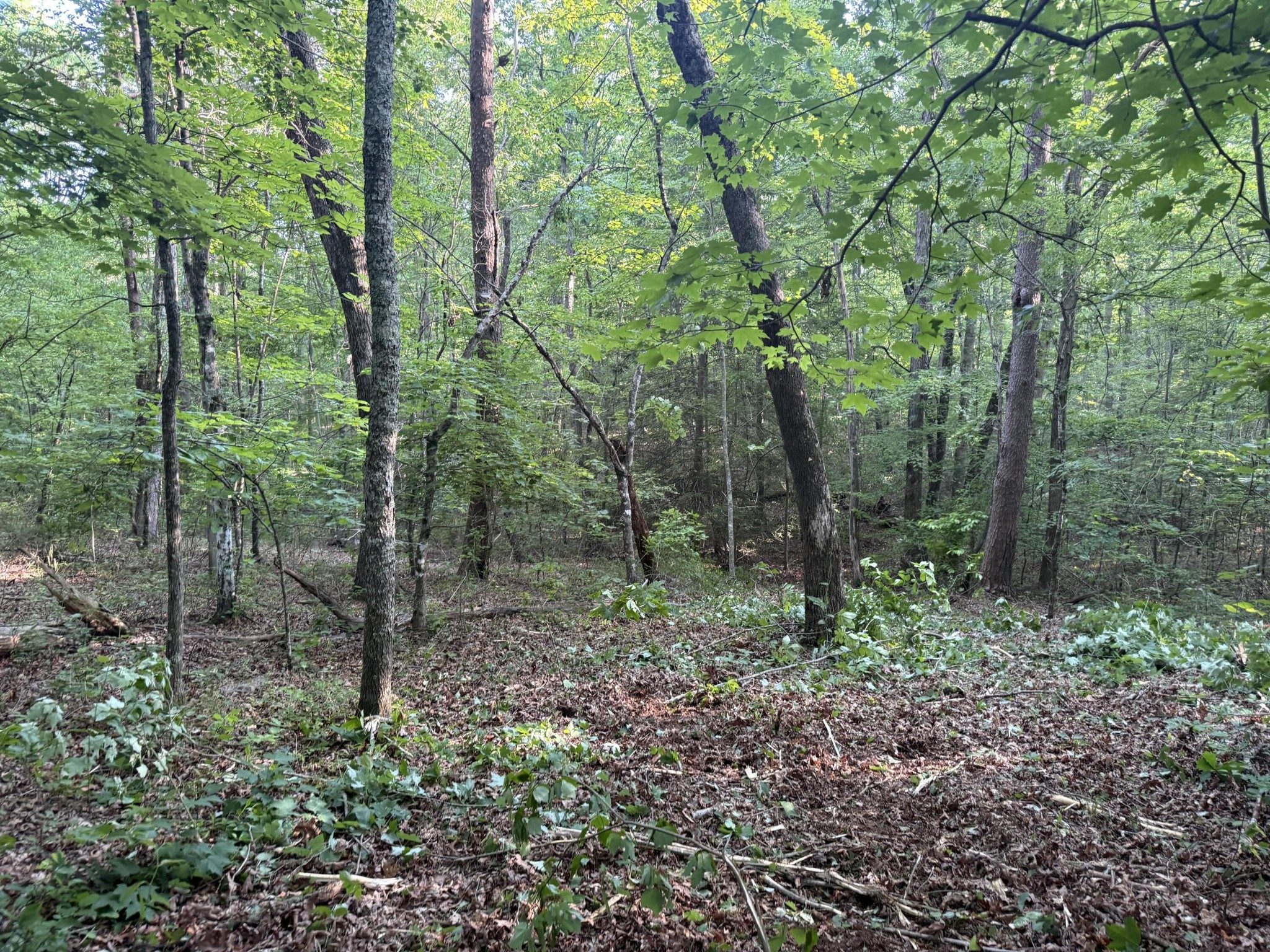 1672 Besstown Road Beersheba Springs TN 37305