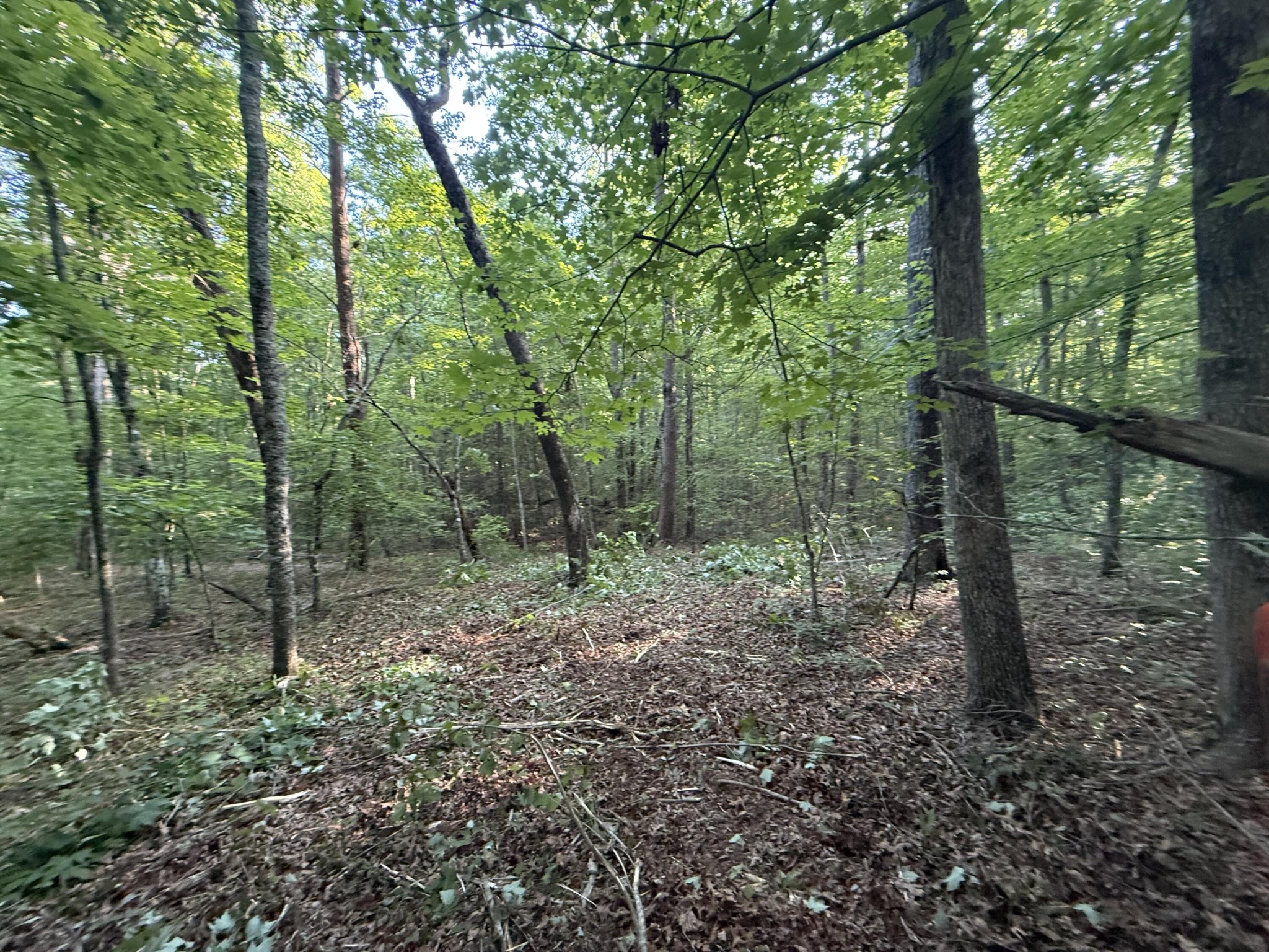 1672 Besstown Road Beersheba Springs TN 37305