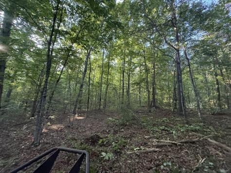 1672 Besstown Road Beersheba Springs TN 37305