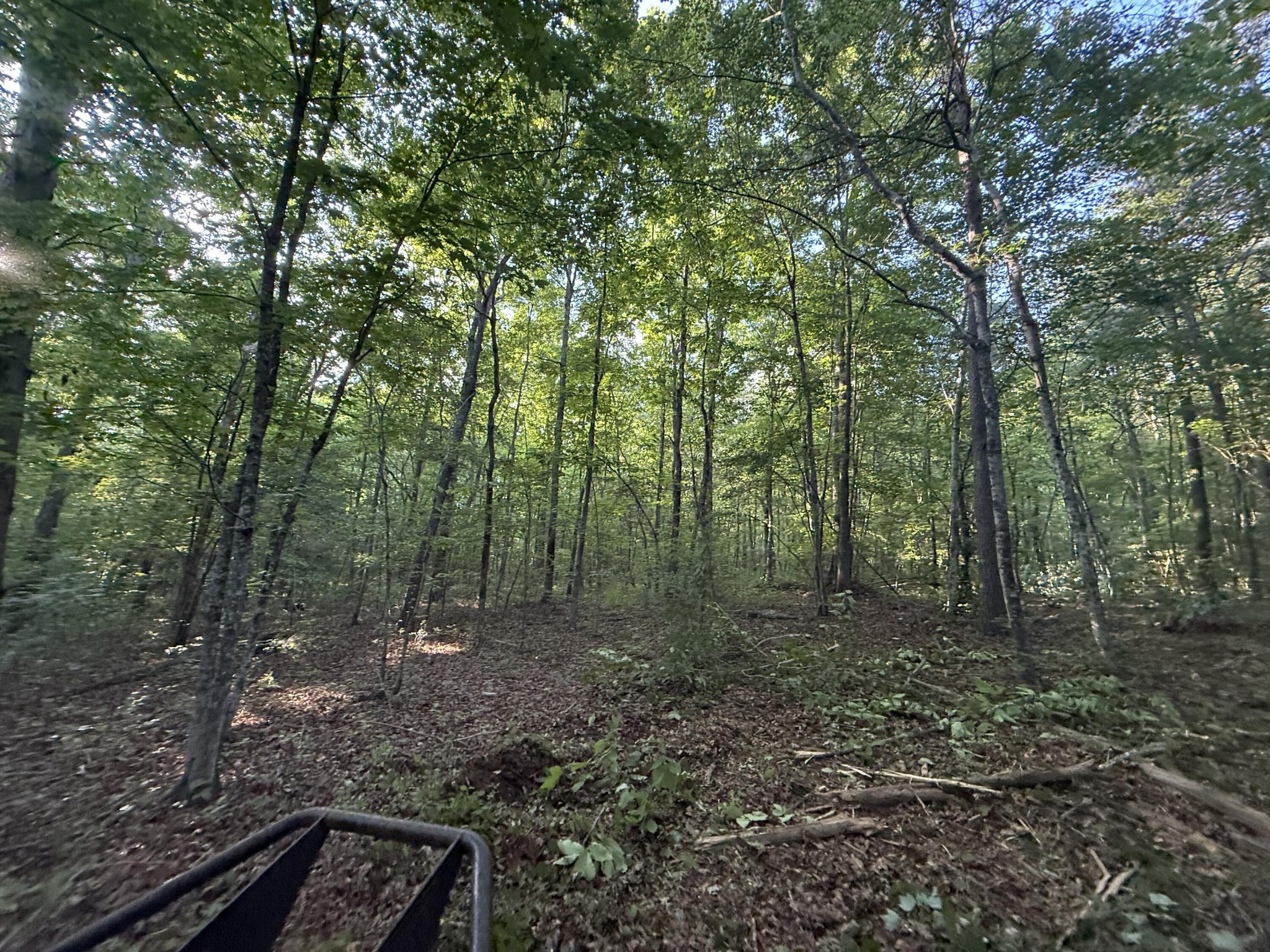 1672 Besstown Road Beersheba Springs TN 37305