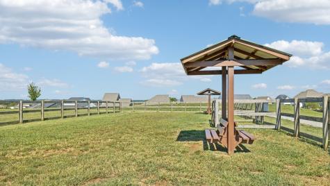 283 Harvest Point Boulevard Spring Hill TN 37174