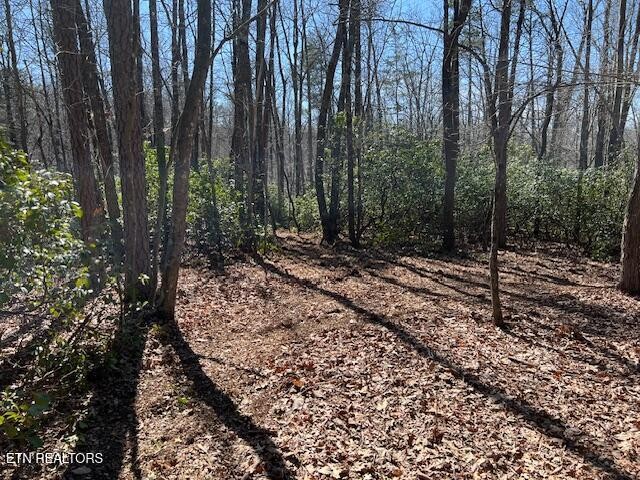 0 Cliff Park Road Monterey TN 38574
