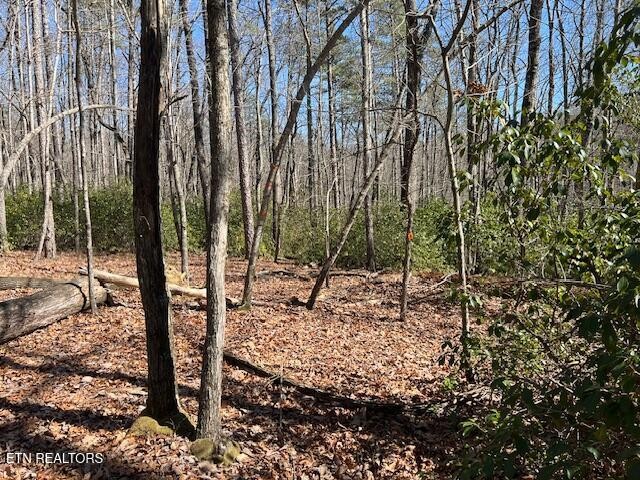 0 Cliff Park Road Monterey TN 38574