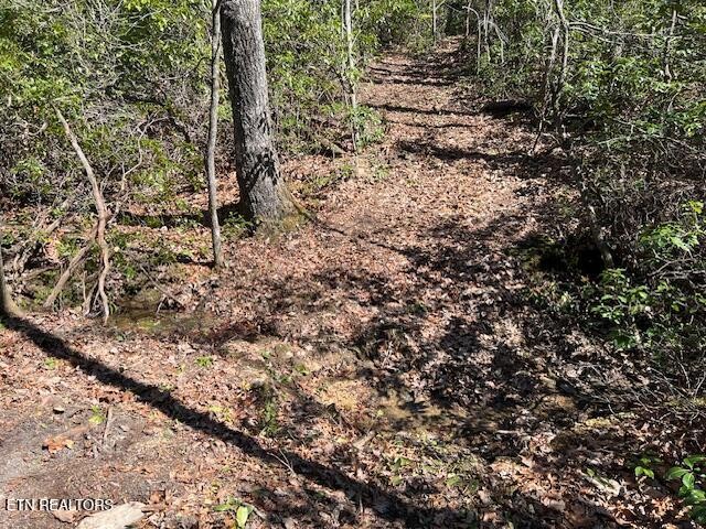0 Cliff Park Road Monterey TN 38574