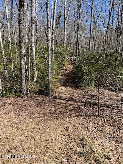 0 Cliff Park Road Monterey TN 38574