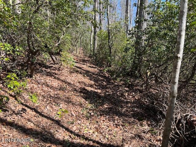 0 Cliff Park Road Monterey TN 38574