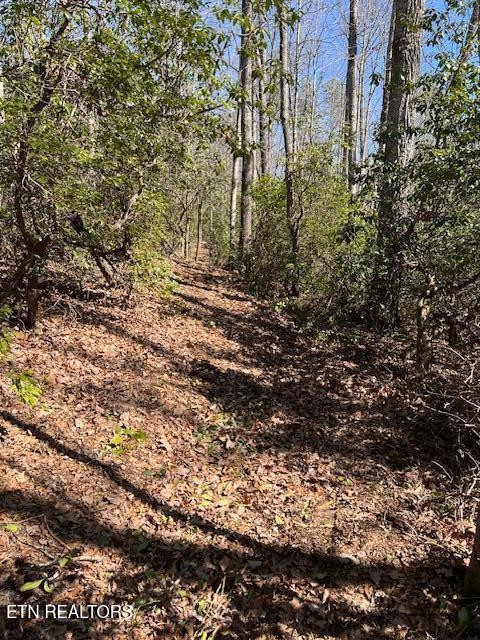 0 Cliff Park Road Monterey TN 38574