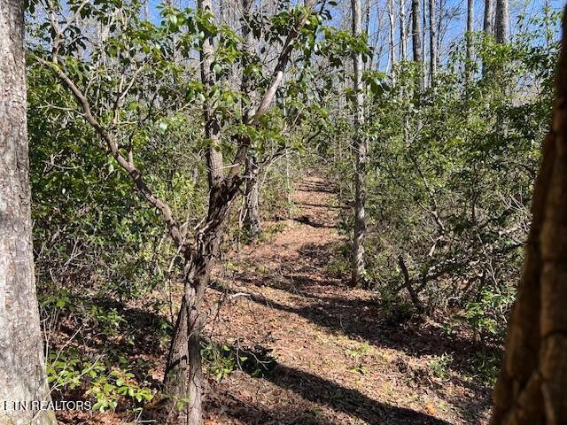 0 Cliff Park Road Monterey TN 38574