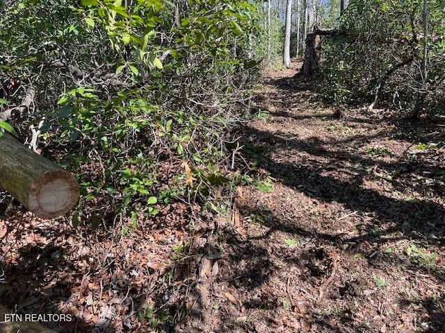 0 Cliff Park Road Monterey TN 38574