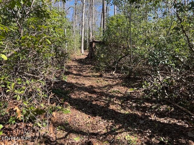 0 Cliff Park Road Monterey TN 38574