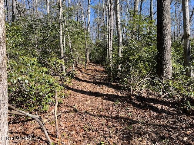 0 Cliff Park Road Monterey TN 38574