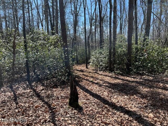 0 Cliff Park Road Monterey TN 38574