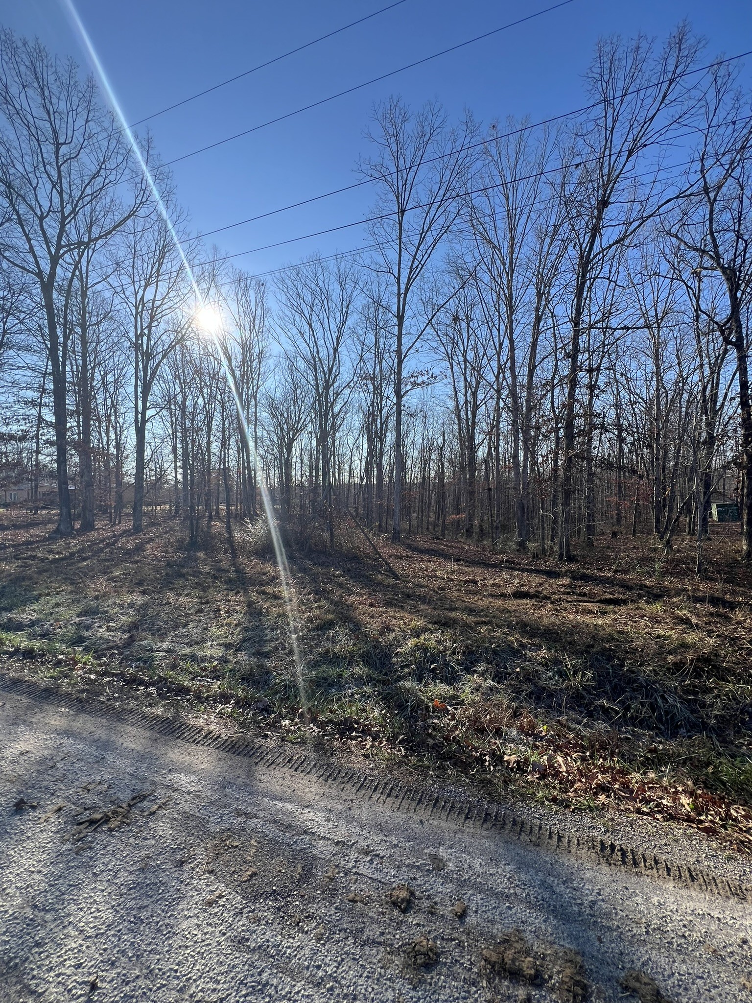 151 Kimberly Road Hohenwald TN 38462