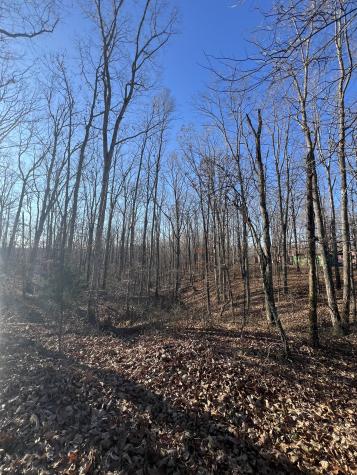 151 Kimberly Road Hohenwald TN 38462