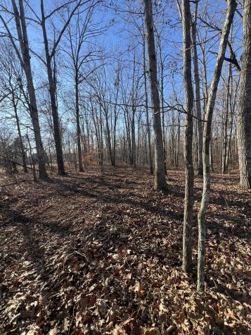 151 Kimberly Road Hohenwald TN 38462