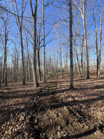 151 Kimberly Road Hohenwald TN 38462
