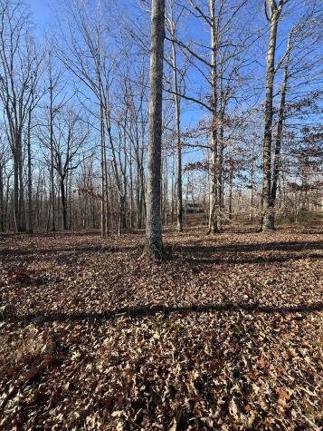 151 Kimberly Road Hohenwald TN 38462