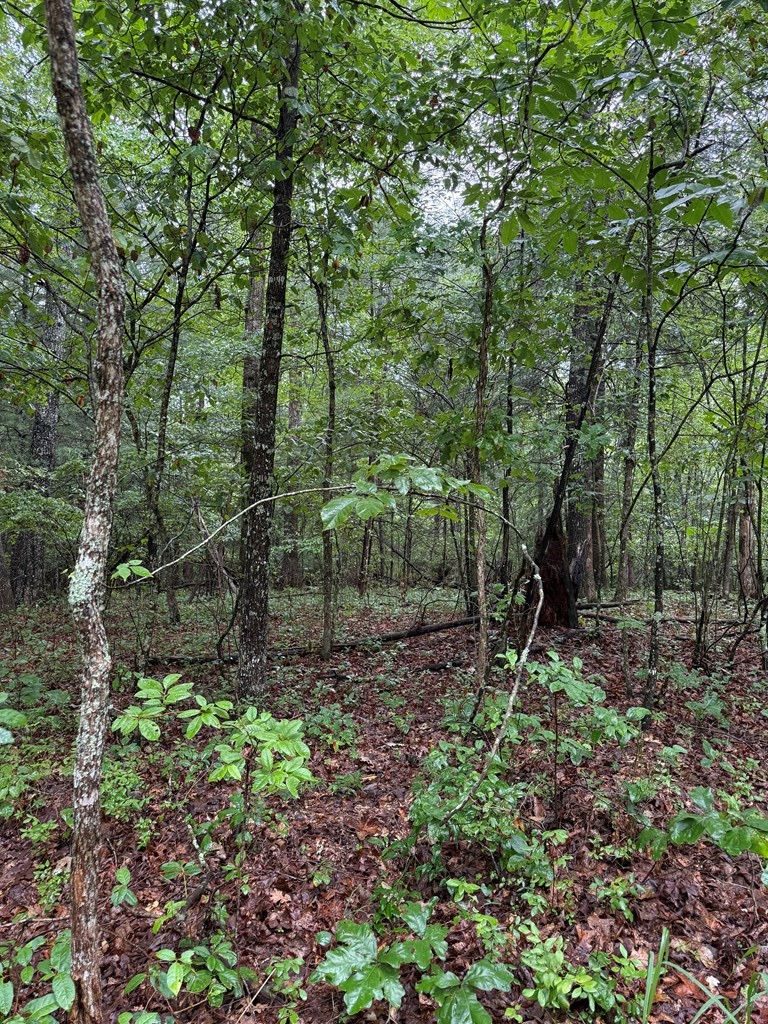 929 Kemah Lane Crossville TN 38572