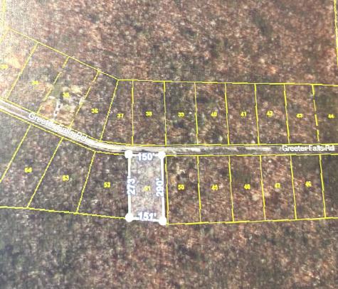 0 Greeter Falls Altamont TN 37301