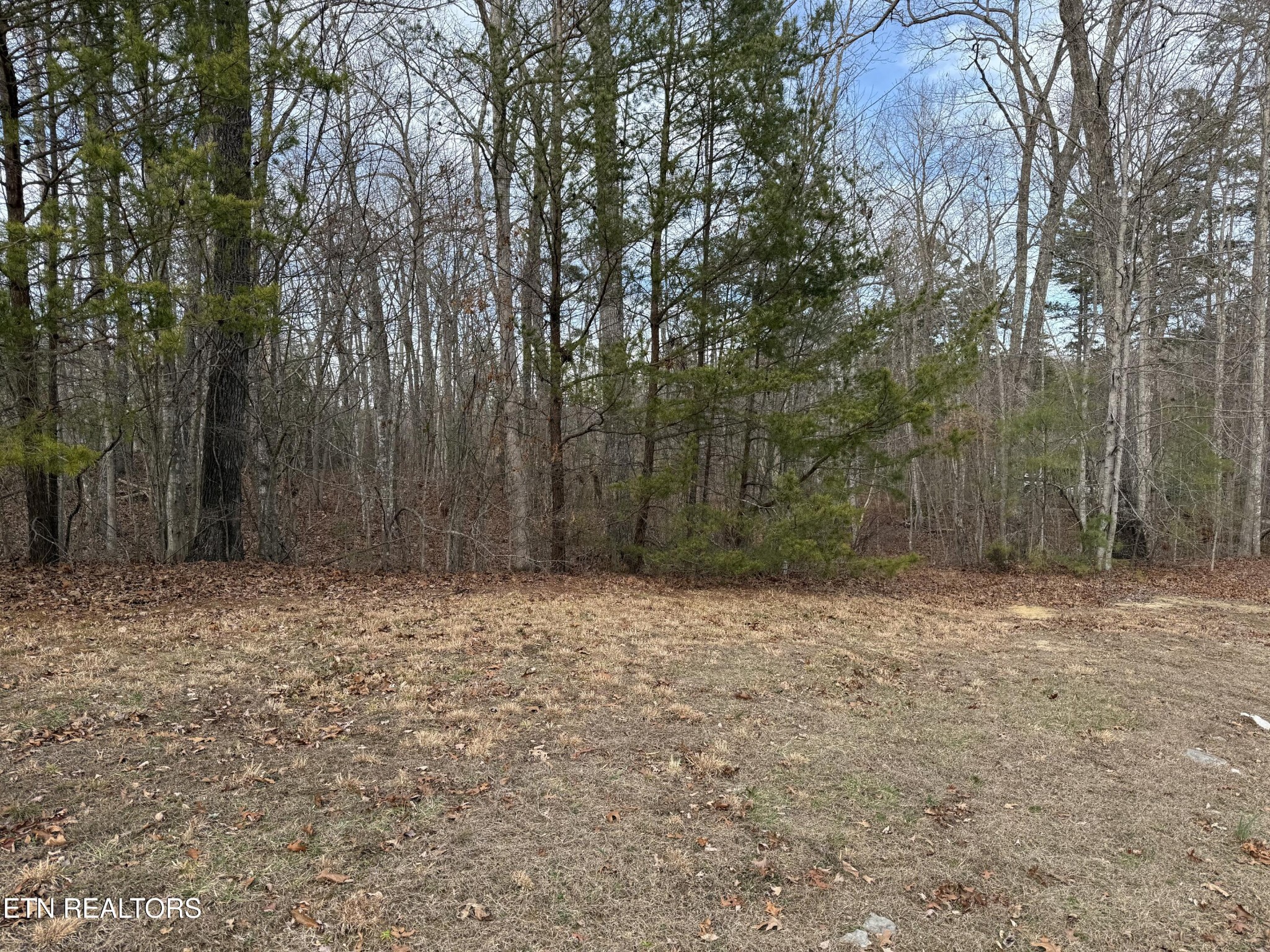 0 Cliffmont Road Jamestown TN 38556