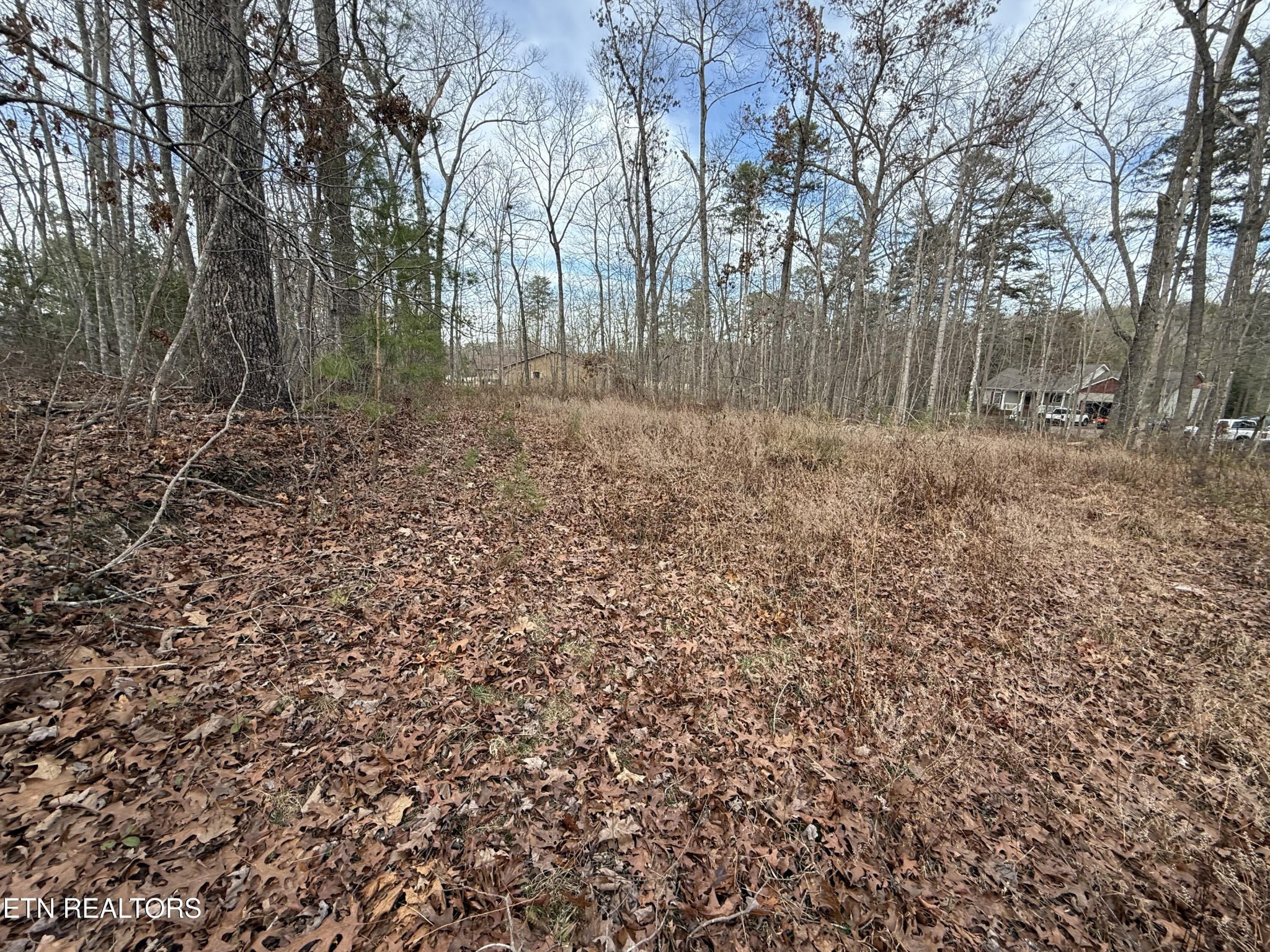 0 Cliffmont Road Jamestown TN 38556