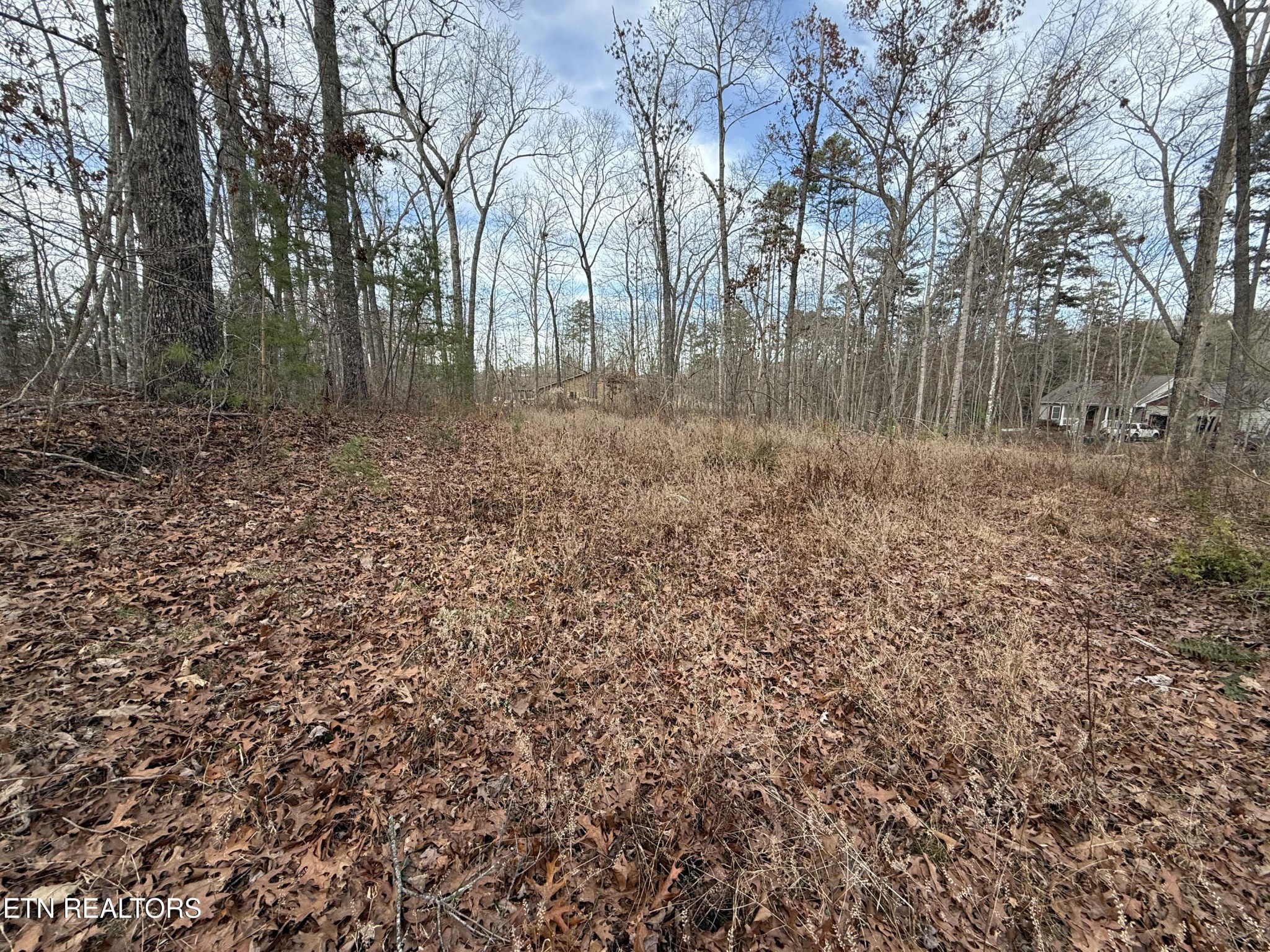 0 Cliffmont Road Jamestown TN 38556