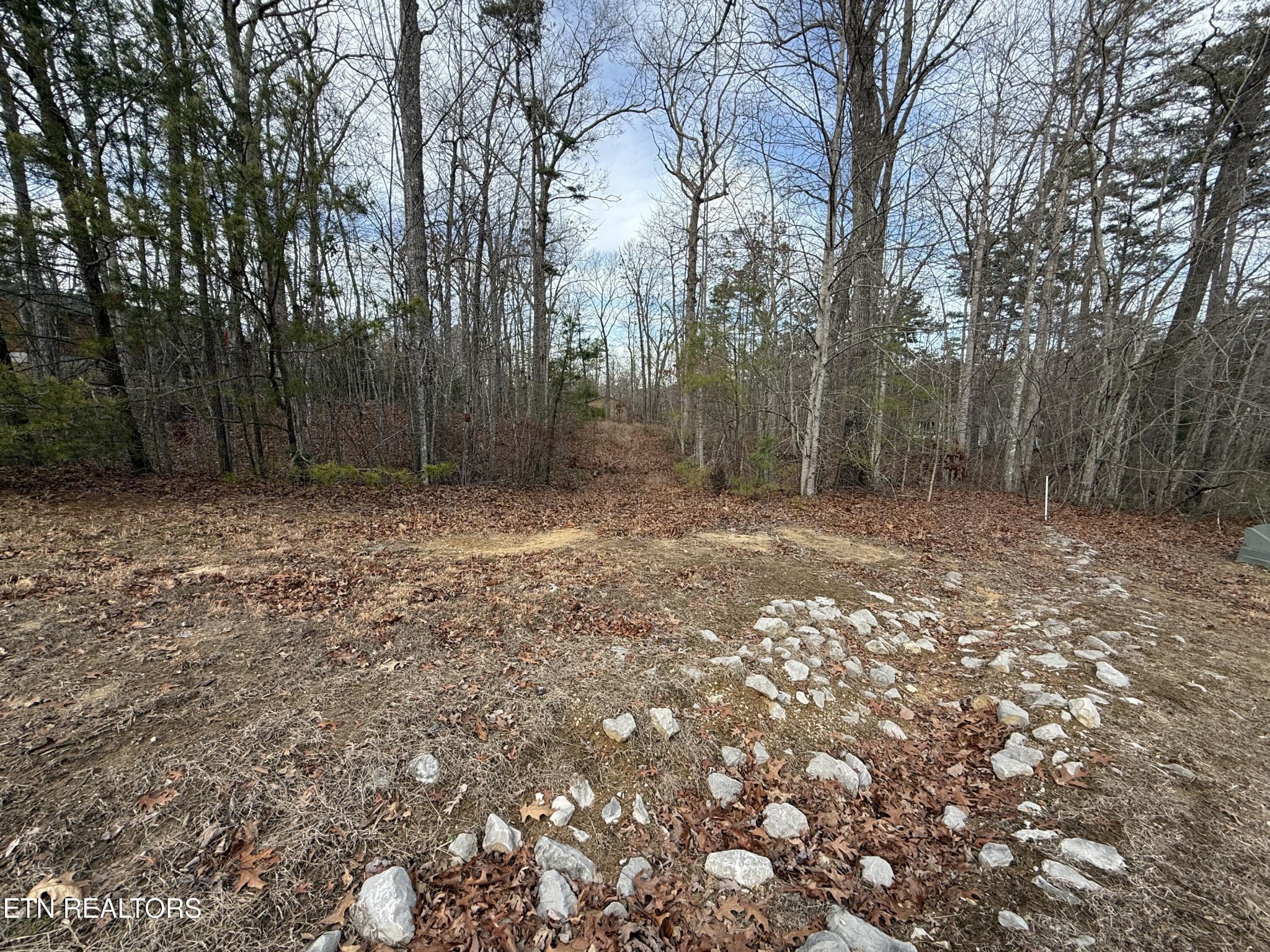 0 Cliffmont Road Jamestown TN 38556