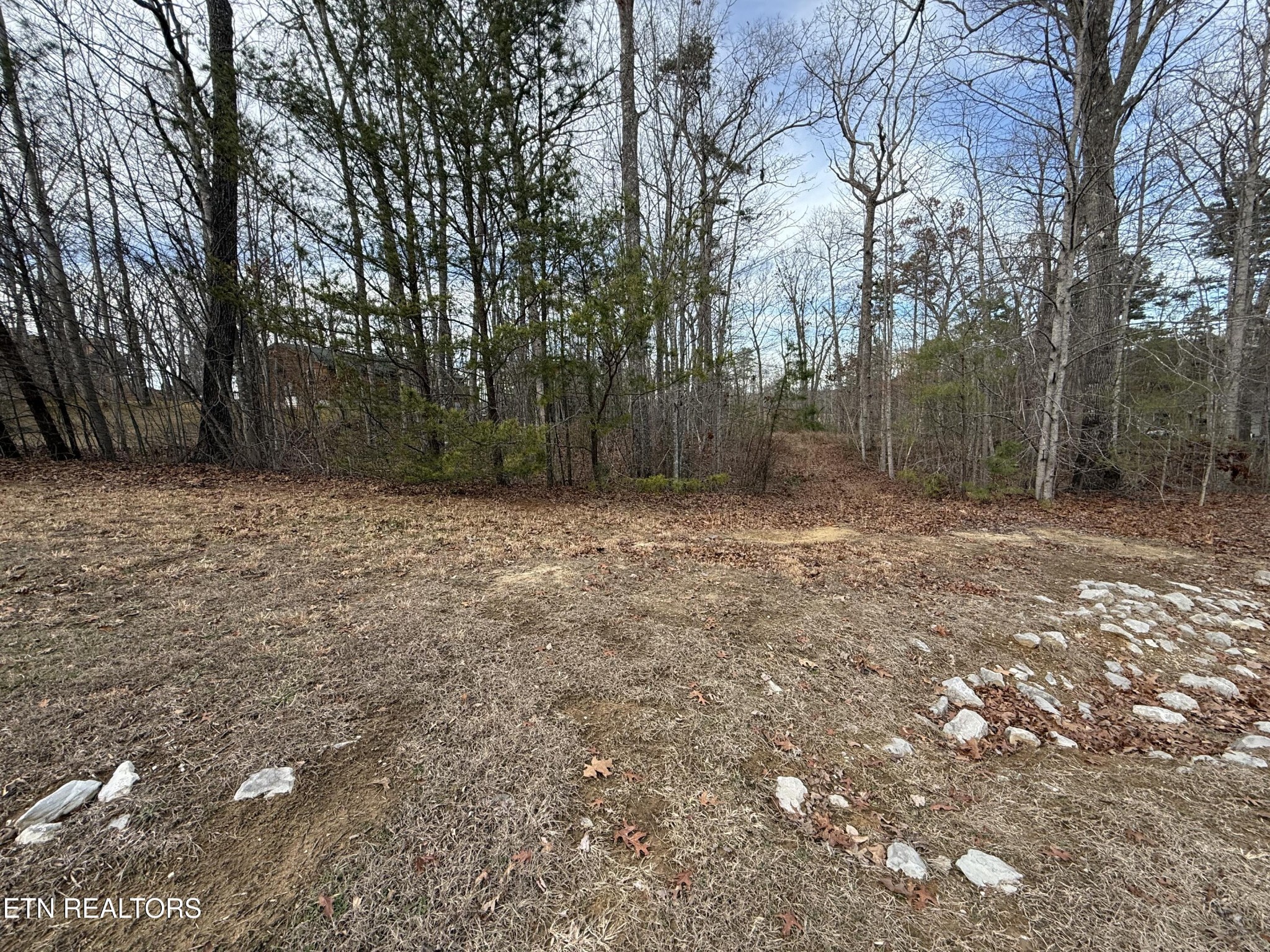 0 Cliffmont Road Jamestown TN 38556