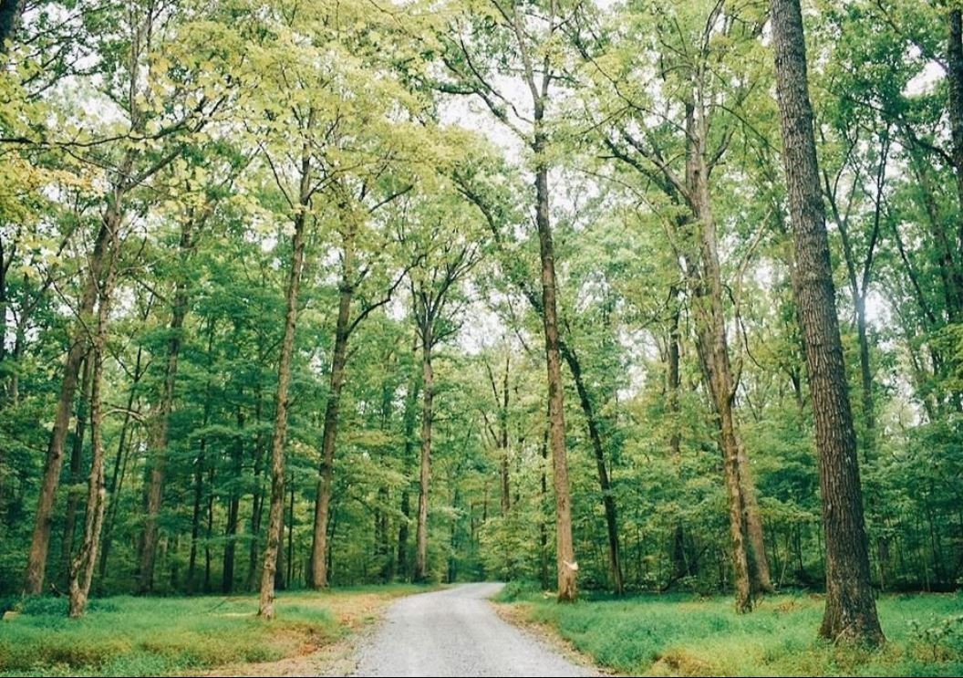 127 Ironhorse Way Dickson TN 37055