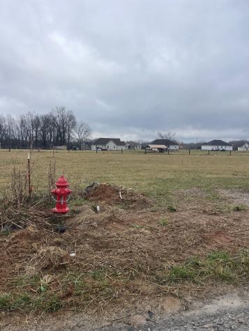 2 Mcnabb Lane Lafayette TN 37083
