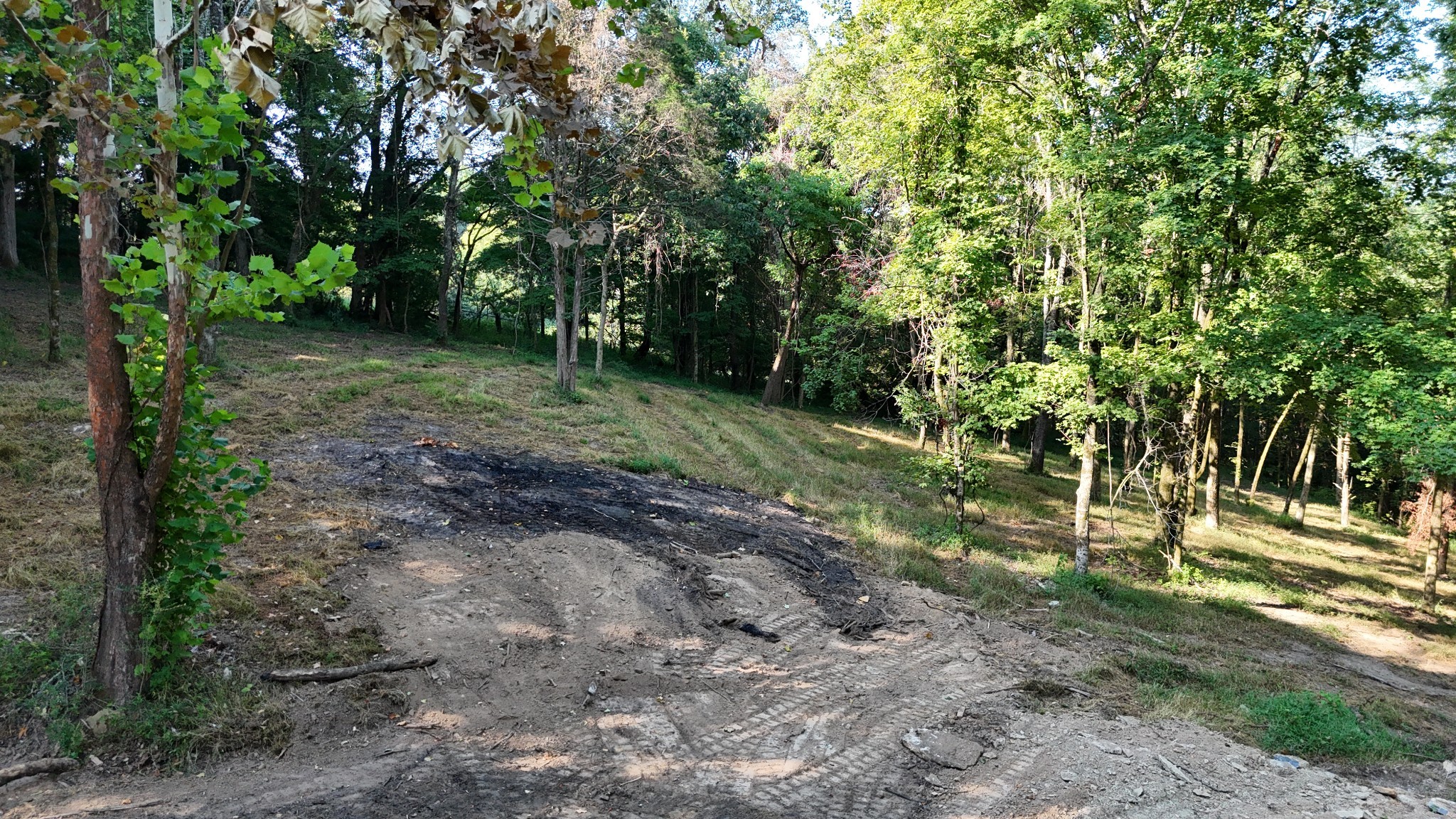2090 Wild Cherry Drive Lewisburg TN 37091