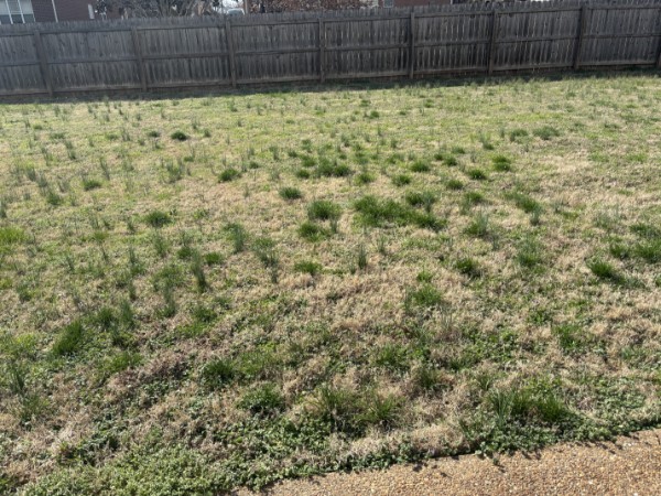 907 Bonnie Blue Way Lebanon TN 37087