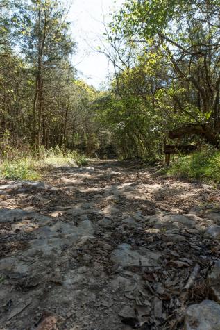 0 Winfree Lane Brush Creek TN 38547