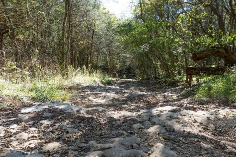 0 Winfree Lane Brush Creek TN 38547