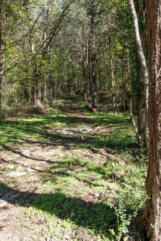 0 Winfree Lane Brush Creek TN 38547