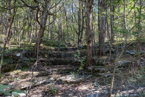 0 Winfree Lane Brush Creek TN 38547