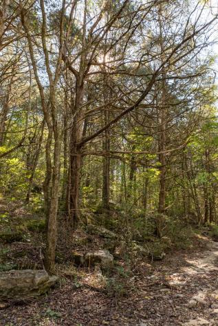 0 Winfree Lane Brush Creek TN 38547