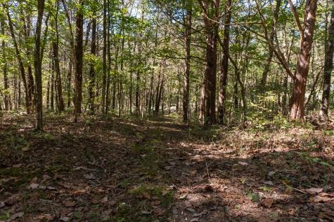0 Winfree Lane Brush Creek TN 38547