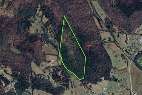0 Winfree Lane Brush Creek TN 38547