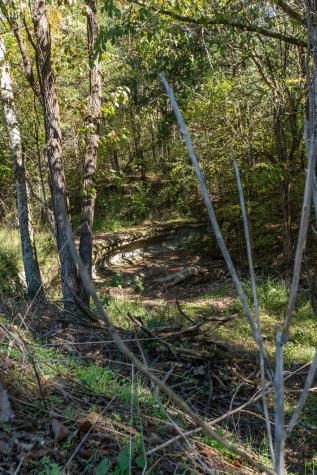 0 Winfree Lane Brush Creek TN 38547