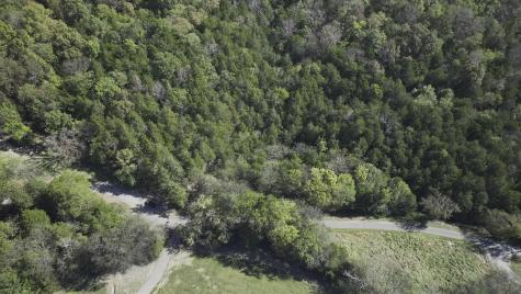 0 Winfree Lane Brush Creek TN 38547