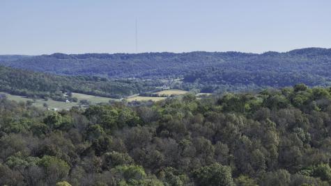 0 Winfree Lane Brush Creek TN 38547